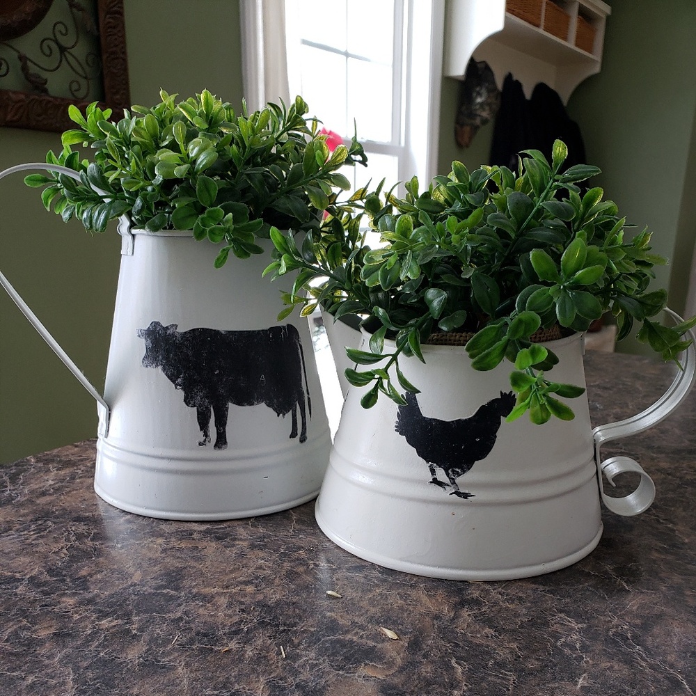 Farmhouse metal watering can